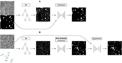 From Shallow to Deep: Exploiting Feature-Based Classifiers for Domain Adaptation in Semantic Segmentation